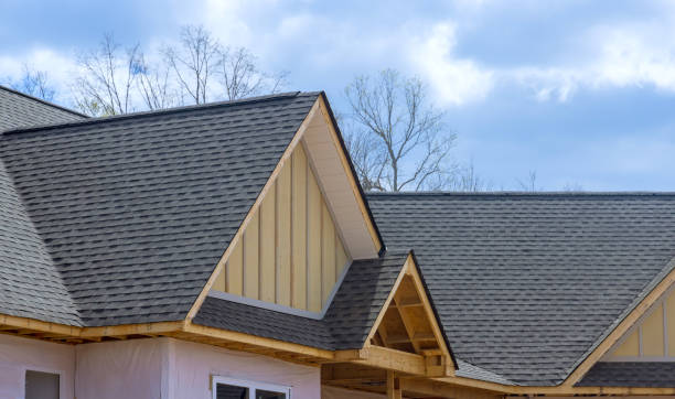 Best Roof Insulation Installation  in Zeigler, IL