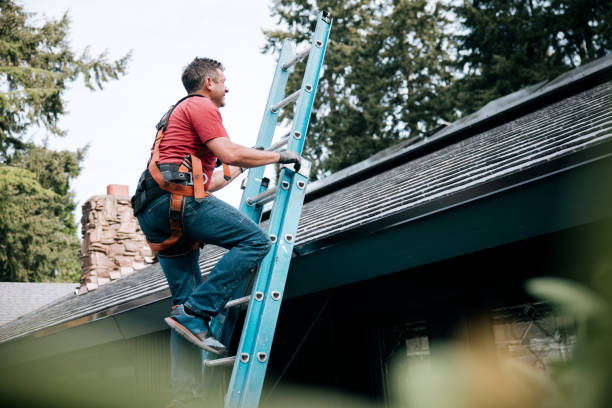 Steel Roofing in Zeigler, IL